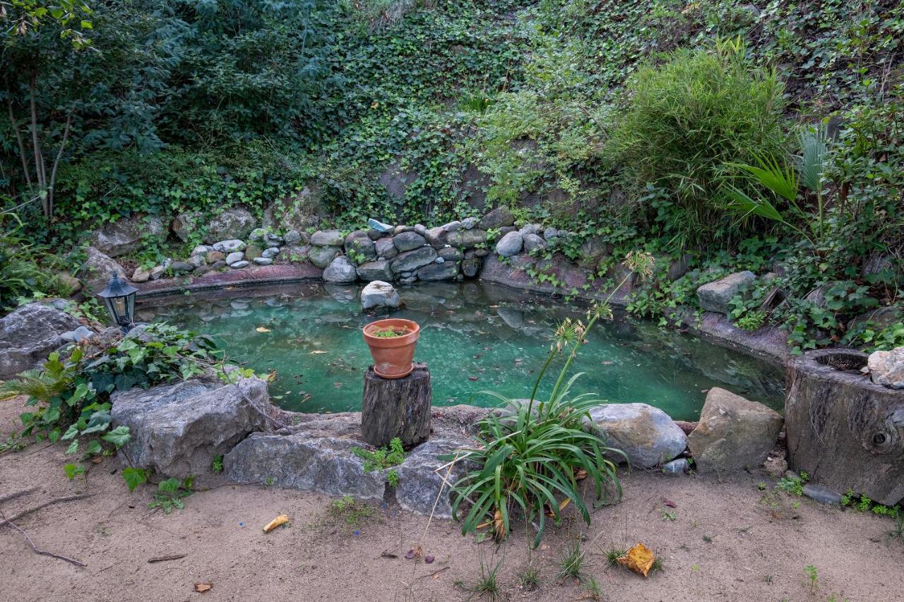 Mare Maravella Costa Brava Nature Villa